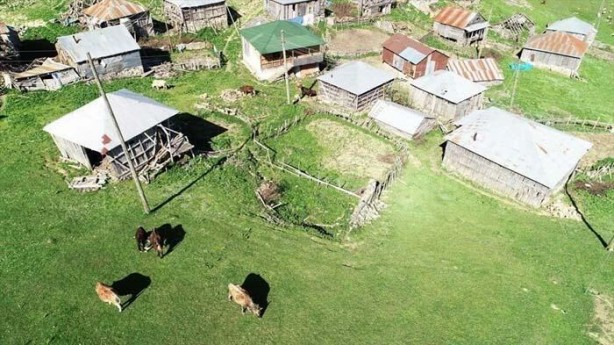Foto - "Bir çuval altına değişmem" İşte o yayladan muazzam görüntüler