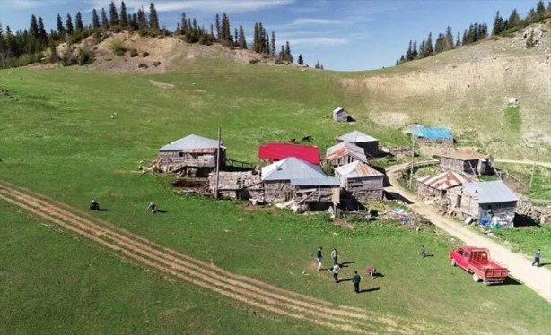 "Bir çuval altına değişmem" İşte o yayladan muazzam görüntüler