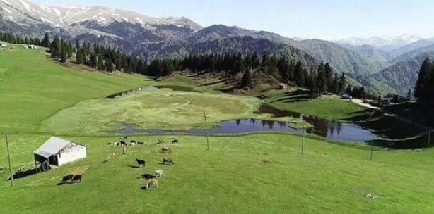 Foto - "Bir çuval altına değişmem" İşte o yayladan muazzam görüntüler
