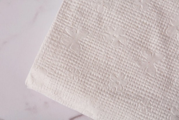 Foto - Bir daha tuvalet kağıdı kullanmak istemeyeceksiniz! Bunu kimse bilmiyordu...