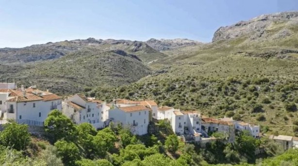 Foto - Bir daire fiyatına! Oteli de bulunan yemyeşil köy satışa çıkarıldı