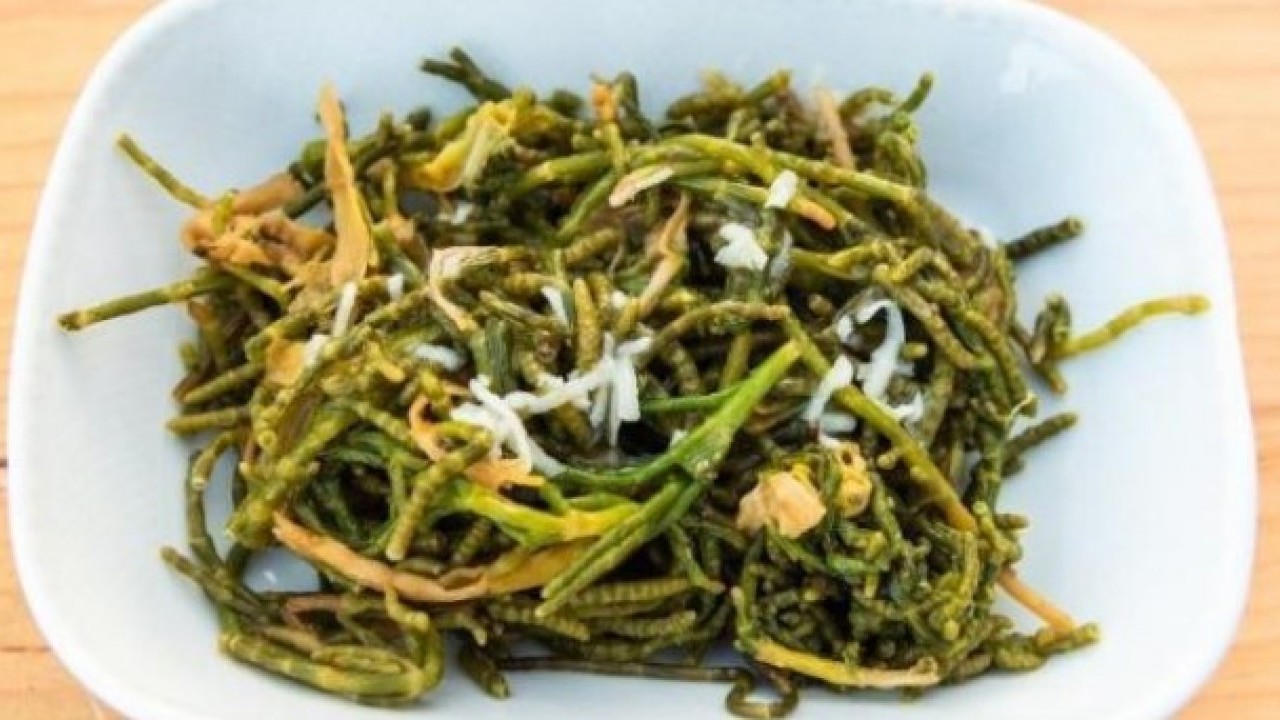 Foto - Bir damlası bile yetiyor! İşte genç kalmanın sırrı olan o bitki