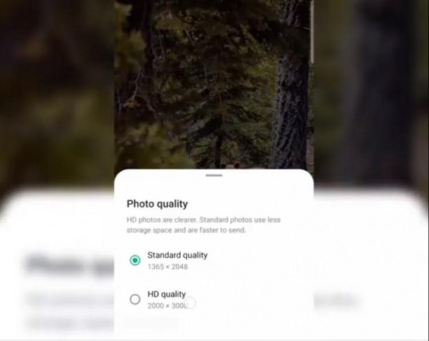 Foto - Bir dert daha son buldu! Whatsapp’ta devrim gibi yenilik