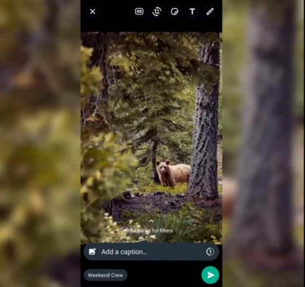 Foto - Bir dert daha son buldu! Whatsapp’ta devrim gibi yenilik