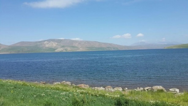 Foto - Bir doğa harikası: Ağrı Balık Gölü