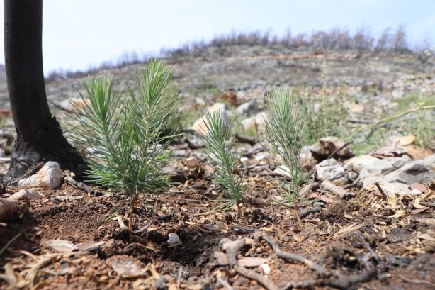 Foto - Bir düne bakın bir de bugüne! Maskeleri indiren görüntüler geldi