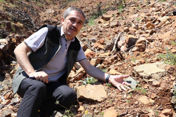 Foto - Bir düne bakın bir de bugüne! Maskeleri indiren görüntüler geldi