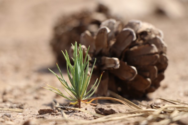 Foto - Bir düne bakın bir de bugüne! Maskeleri indiren görüntüler geldi