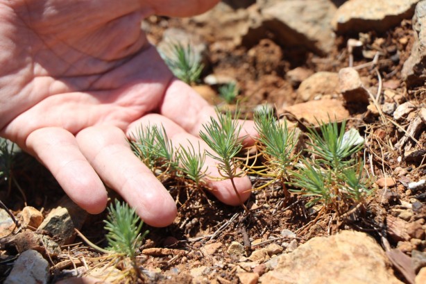 Foto - Bir düne bakın bir de bugüne! Maskeleri indiren görüntüler geldi