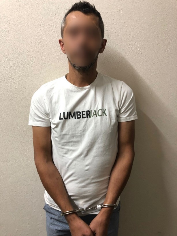 Foto - Bir fare enselendi ortalıkta daha da olabilir! Ev kiralayanlar bu tuzağa dikkat