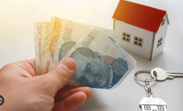 Bir fare enselendi ortalıkta daha da olabilir! Ev kiralayanlar bu tuzağa dikkat