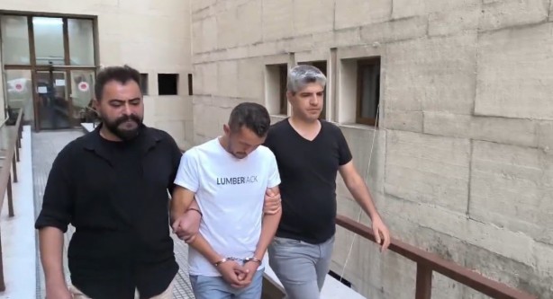 Foto - Bir fare enselendi ortalıkta daha da olabilir! Ev kiralayanlar bu tuzağa dikkat