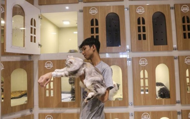 Foto - Bir garip iş! Böyle otel olur mu demeyin oluyormuş