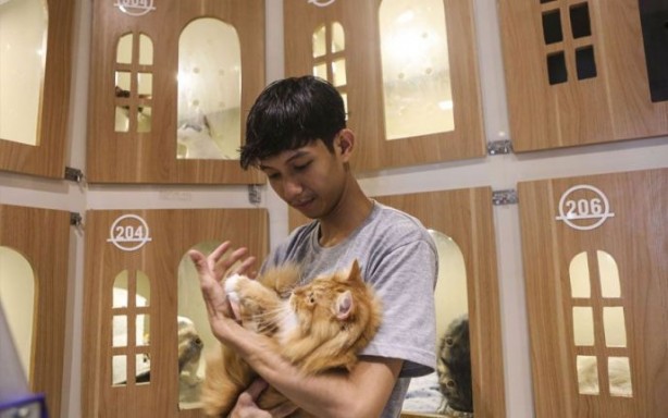 Foto - Bir garip iş! Böyle otel olur mu demeyin oluyormuş