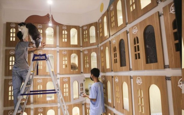 Foto - Bir garip iş! Böyle otel olur mu demeyin oluyormuş