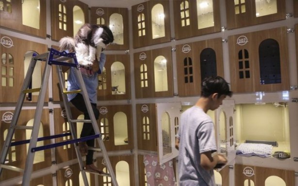 Foto - Bir garip iş! Böyle otel olur mu demeyin oluyormuş