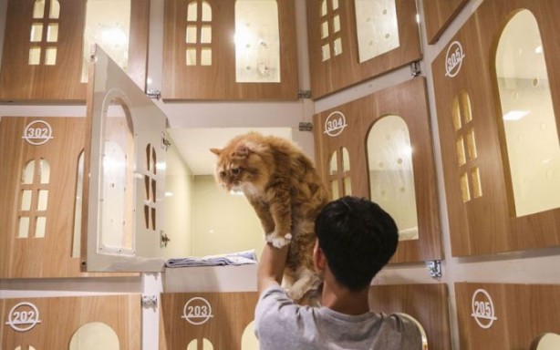 Bir garip iş! Böyle otel olur mu demeyin oluyormuş