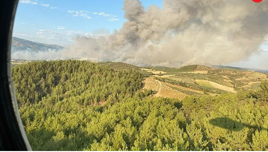 Foto - Bir günde 47 yangın olur mu? Bu işte bir iş var… Bakan açıkladı: Gözaltılar var