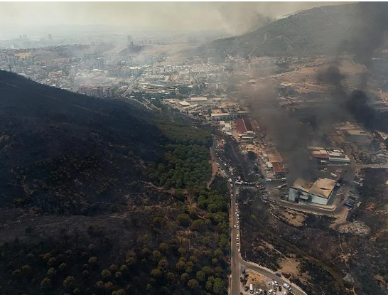 Foto - Bir günde 47 yangın olur mu? Bu işte bir iş var… Bakan açıkladı: Gözaltılar var