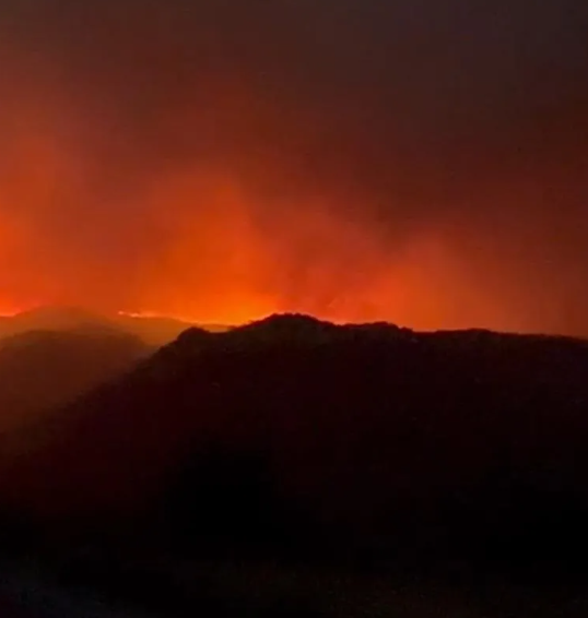 Foto - Bir günde 47 yangın olur mu? Bu işte bir iş var… Bakan açıkladı: Gözaltılar var