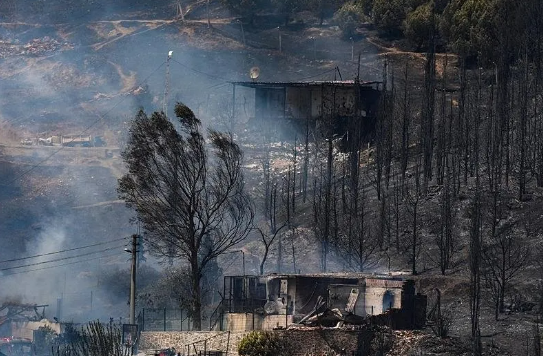 Foto - Bir günde 47 yangın olur mu? Bu işte bir iş var… Bakan açıkladı: Gözaltılar var