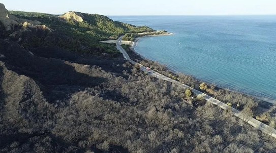 Foto - Bir günde 47 yangın olur mu? Bu işte bir iş var… Bakan açıkladı: Gözaltılar var