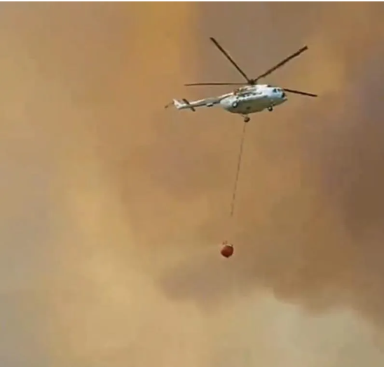 Foto - Bir günde 47 yangın olur mu? Bu işte bir iş var… Bakan açıkladı: Gözaltılar var