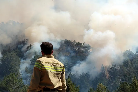 Foto - Bir günde 47 yangın olur mu? Bu işte bir iş var… Bakan açıkladı: Gözaltılar var