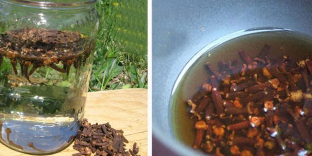 Foto - Karanfilli su ile 7 günde 3 kilo zayıflatan kür- Malzemeler: 1 adet çubuk tarçın, 1 yemek kaşığı karanfil, 1 yemek kaşığı zencefil kökü, 2 su bardağı su. 