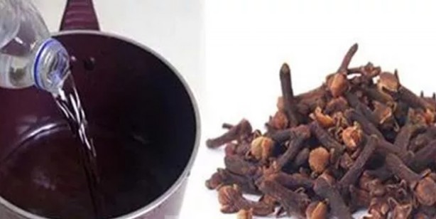 Foto - Zayıflatıcı karanfilli su nasıl hazırlanır? Çubuk tarçın, zencefil kökü ve karanfil bir demliğin içerisine konulur. Üzerine 2 su bardağı suyu ilave edin ve tıpkı çay demler gibi demlemeye bırakın. Hazırlamış olduğunuz karanfilli su karışımından sabah ve akşam olmak üzere günde 2 defa öğünlerden yarım saat kadar önce için. 