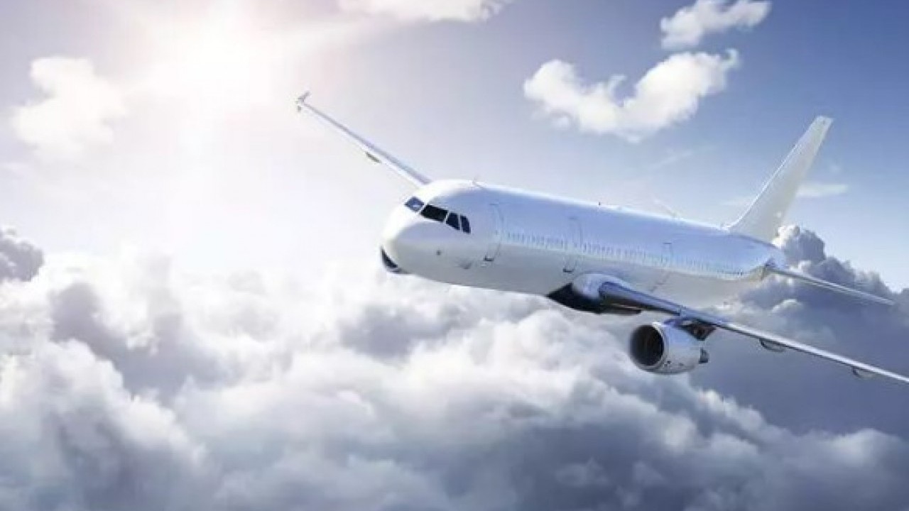 Foto - Bir hamburber yüzünden uçuşu iptal ettiler: Olay 20 milyon kez izlendi!