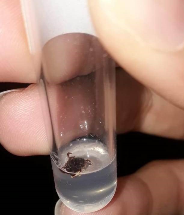 Foto - Bir il diken üstünde! Vakalar artarken yeni ölüm haberi geldi