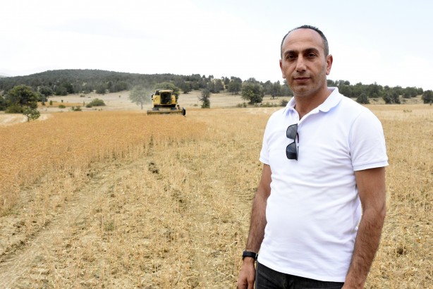 Foto - Bir ilçe topraktan servet çıkaracak! Hasadına başlanan üründen ekonomiye 3 milyon liralık katkı