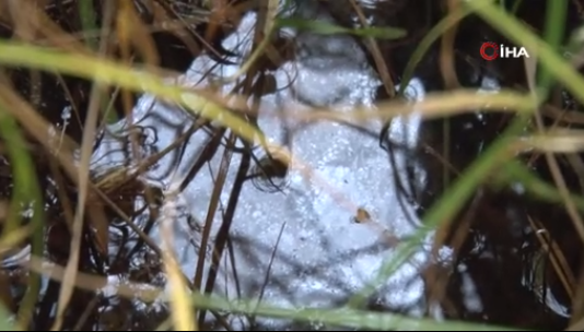 Foto - O ilimizi heyecan sardı! Köylüler 'Esrarengiz sıvı, petrol olabilir' dedi ve ekledi: Her yerden fışkırıyor, her yerden çıkıyor