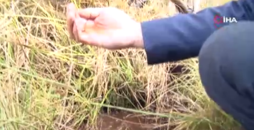 Foto - O ilimizi heyecan sardı! Köylüler 'Esrarengiz sıvı, petrol olabilir' dedi ve ekledi: Her yerden fışkırıyor, her yerden çıkıyor