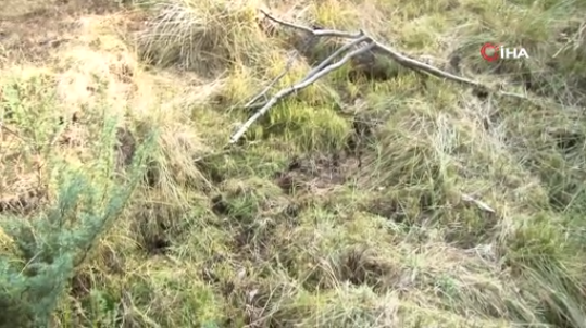 Foto - O ilimizi heyecan sardı! Köylüler 'Esrarengiz sıvı, petrol olabilir' dedi ve ekledi: Her yerden fışkırıyor, her yerden çıkıyor