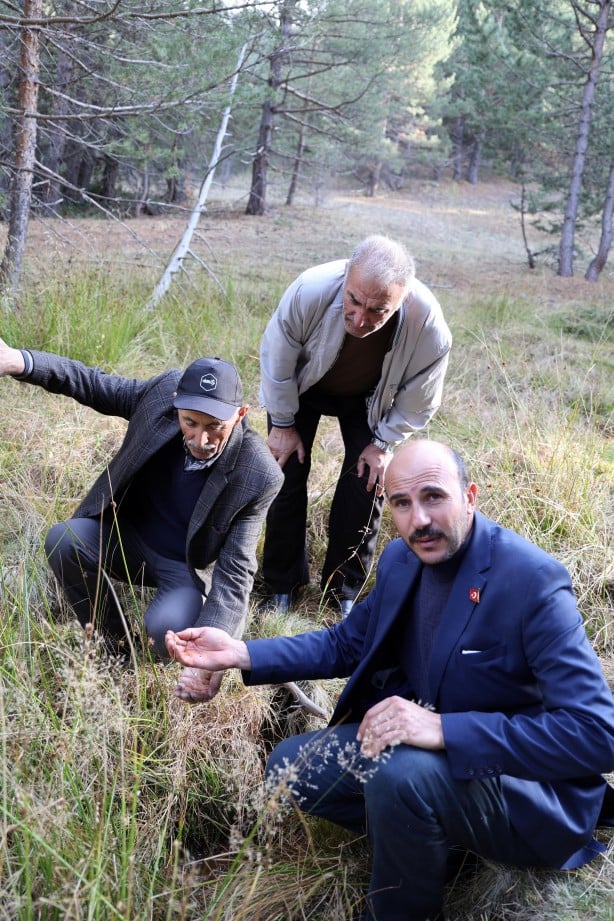 Foto - O ilimizi heyecan sardı! Köylüler 'Esrarengiz sıvı, petrol olabilir' dedi ve ekledi: Her yerden fışkırıyor, her yerden çıkıyor
