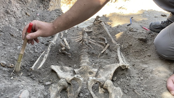 Foto - Bir ilk yaşanacak! Kazıda bulunan Troyalı kafatası yüzlendirilecek