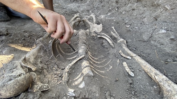 Foto - Bir ilk yaşanacak! Kazıda bulunan Troyalı kafatası yüzlendirilecek