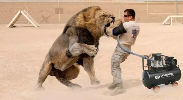 Foto - Bir ısırık ne kadar tehlikeli olabilir? İşte dünyanın en güçlü çeneye sahip canlıları