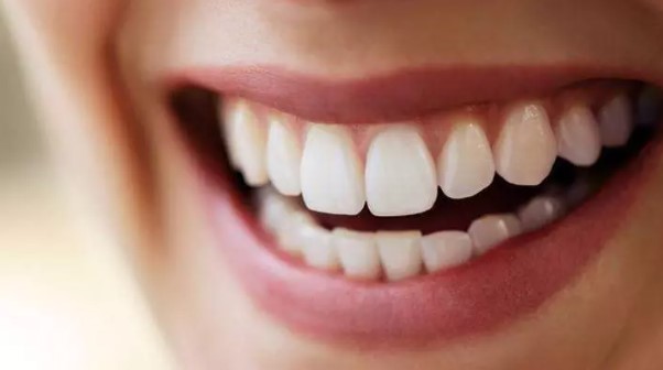 Foto - Bir ısırık ne kadar tehlikeli olabilir? İşte dünyanın en güçlü çeneye sahip canlıları