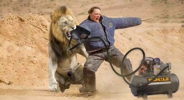 Bir ısırık ne kadar tehlikeli olabilir? İşte dünyanın en güçlü çeneye sahip canlıları