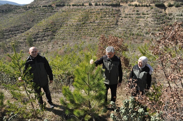 Foto - Bir izmaritle küle dönmüştü! İşte son hali