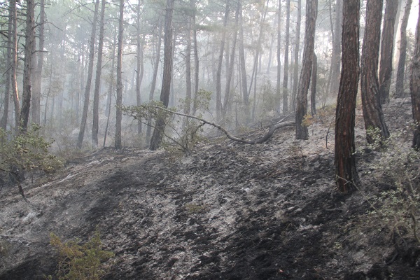Foto - Bir izmaritle küle dönmüştü! İşte son hali