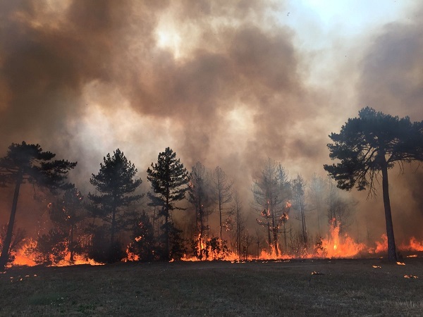 Foto - Bir izmaritle küle dönmüştü! İşte son hali