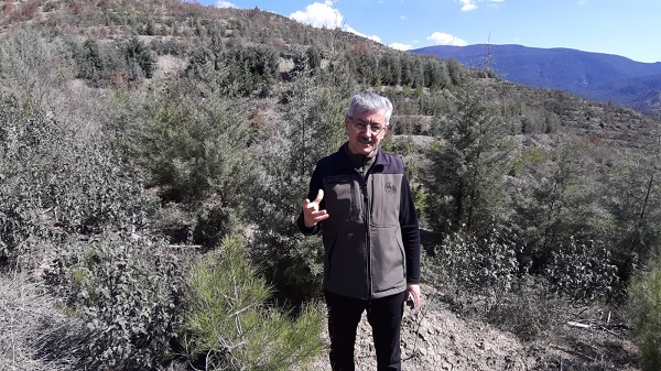 Foto - Bir izmaritle küle dönmüştü! İşte son hali