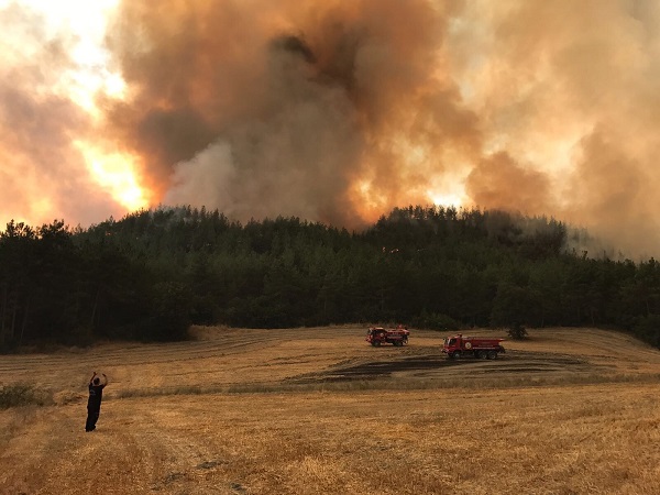 Foto - Bir izmaritle küle dönmüştü! İşte son hali
