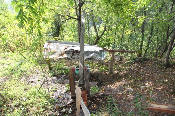 Foto - Bir Karadeniz klasiği: Kovanlarını ayılardan korumak için bakın ne yaptı