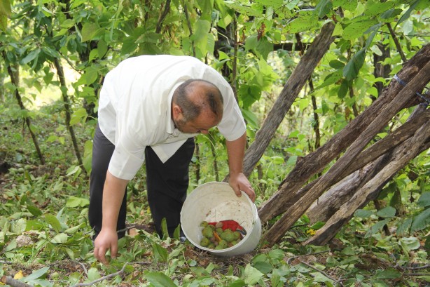 Foto - Bir Karadeniz klasiği: Kovanlarını ayılardan korumak için bakın ne yaptı