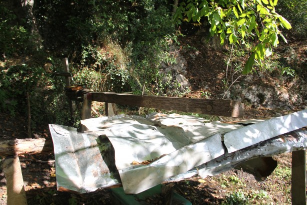 Foto - Bir Karadeniz klasiği: Kovanlarını ayılardan korumak için bakın ne yaptı